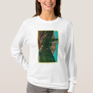 Camiseta Parque de estado de los riscos del castillo de los