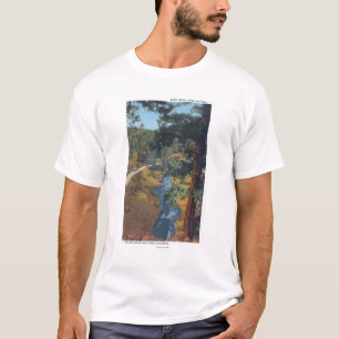Camiseta Parque de la montaña de Denver, CO - barranco de