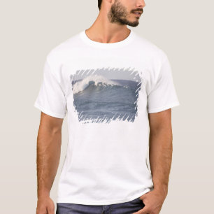 Camiseta Parque de playa Hookipa, costa norte de Maui,