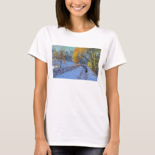 Camiseta Parque Derby 2014 de Allestree que se agrava