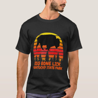Camiseta Parque estatal Big Bone Lick