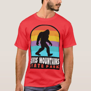 Camiseta Parque Estatal Davis Mountains Texas