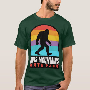 Camiseta Parque Estatal de las Montañas Davis Texas