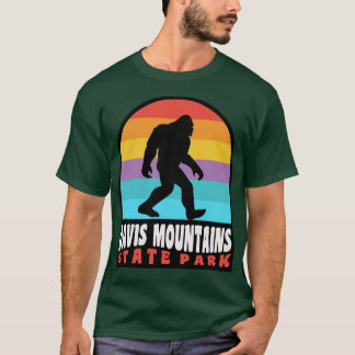 Camiseta Parque Estatal de las Montañas Davis Texas