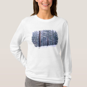 Camiseta PARQUE ESTATAL DEL LAGO TAHOE, NEVADA. EE. UU. Nie