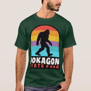 Camiseta Parque estatal Pokagon Indiana Retro Sunset