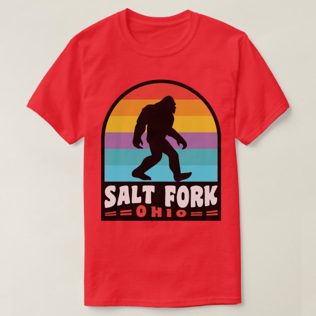 Camiseta Parque Estatal Salt Fork Ohio (Diseño del anverso)