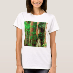 Camiseta Parque grande antiguo de la secoya del lavabo de