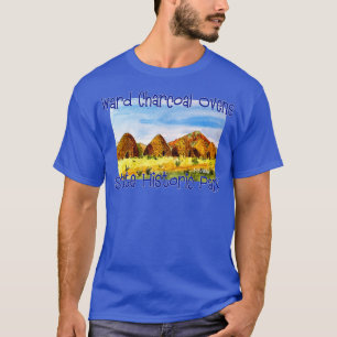 Camiseta Parque Histórico Estatal Ward Charcoal Ovens Nevad