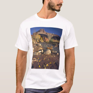Camiseta PARQUE NACIONAL CAPITOL REEF, UT, US, Cottonwood