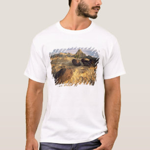 CAMISETA PARQUE NACIONAL CAPITOL REEF, UTAH. EE. UU.