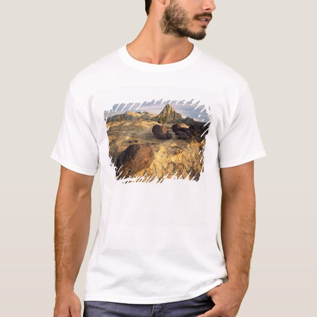 CAMISETA PARQUE NACIONAL CAPITOL REEF, UTAH. EE. UU. (Anverso)