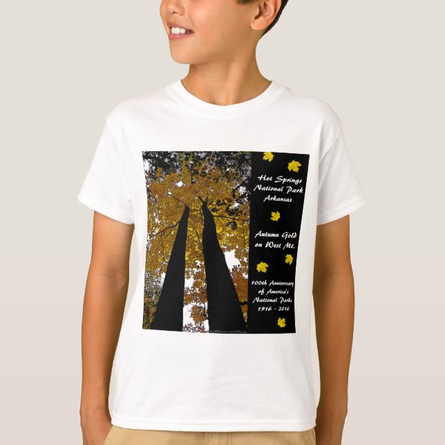 Camiseta Parque Nacional Centennial Hot Springs Otumt Gold (Anverso)