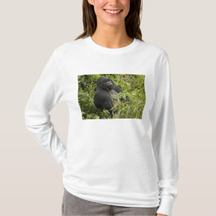 Camiseta Parque Nacional de los Volcanes, Gorila de montaña
