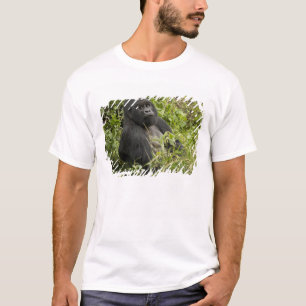 Camiseta Parque nacional de los volcanes, gorila de montaña