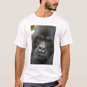 Camiseta Parque Nacional de los Volcanes, Ruanda, Gorilas d