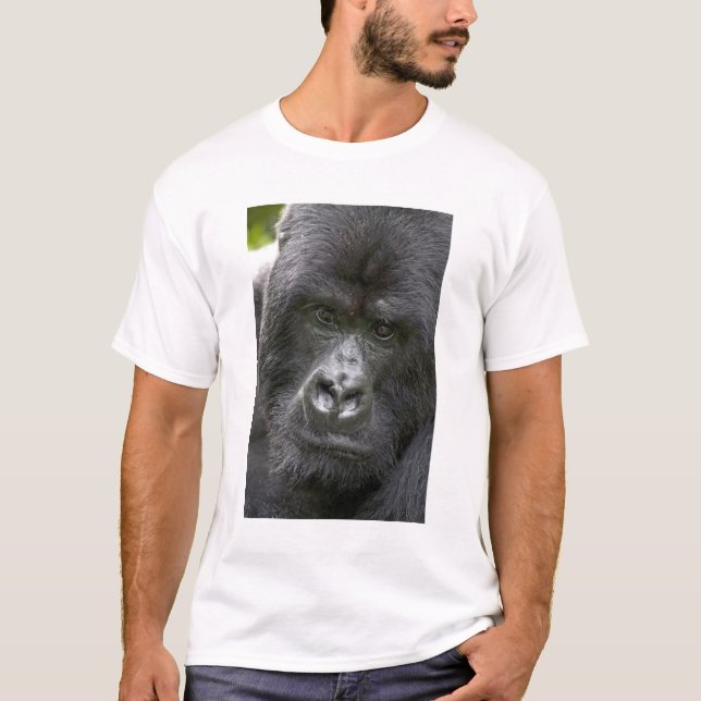 Camiseta Parque Nacional de los Volcanes, Ruanda, Gorilas d (Anverso)