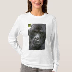 Camiseta Parque Nacional de los Volcanes, Ruanda, Gorilas d