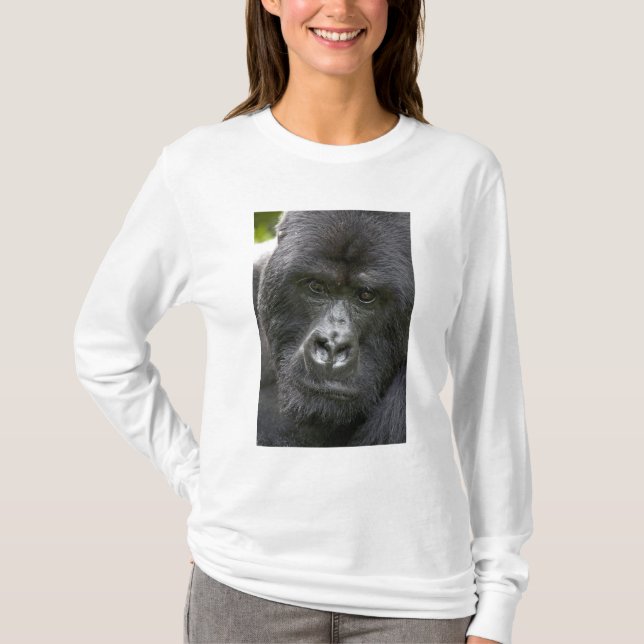 Camiseta Parque Nacional de los Volcanes, Ruanda, Gorilas d (Anverso)