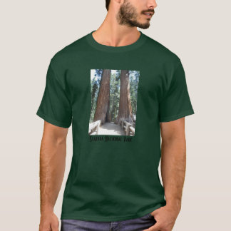Camiseta Parque nacional de secoya