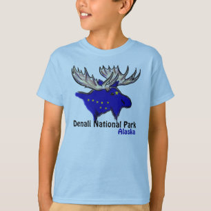Camiseta Parque nacional Denali Alaska bandera tee de los c