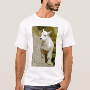 Camiseta Parque Nacional Glaciar, Montana, EE. UU., Montaña
