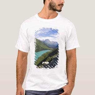 Camiseta Parque Nacional Glacier, Montana