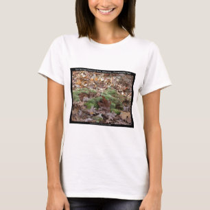 Camiseta Parque Nacional Hot Springs, AR - Sendero Honeysuc