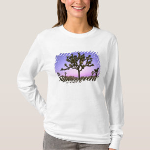 CAMISETA PARQUE NACIONAL JOSHUA TREE, CALIFORNIA. EE. UU.