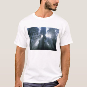 Camiseta Parque Nacional Redwood, Condado de Del Norte, bru
