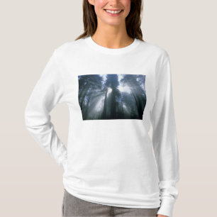 Camiseta Parque Nacional Redwood, Condado de Del Norte, bru