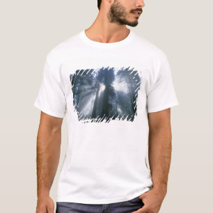 Camiseta Parque Nacional Redwood, Condado de Del Norte, bru