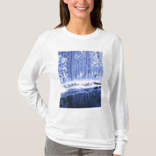Camiseta PARQUE NACIONAL YOSEMITA, CALIFORNIA. EE.UU.Fresco