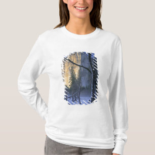 Camiseta PARQUE NACIONAL YOSEMITE, CALIFORNIA. EE. UU. Luz