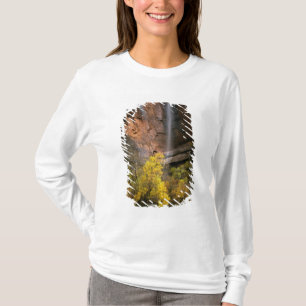 Camiseta Parque Nacional Zion, Utah. EE. UU. Efímero