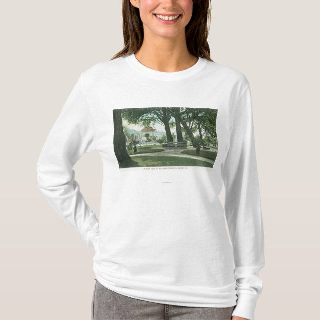 Camiseta Parque ViewAlameda, CA de la ciudad (Anverso)