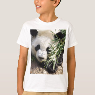 Camiseta Parque zoológico Atlanta del oso de panda @