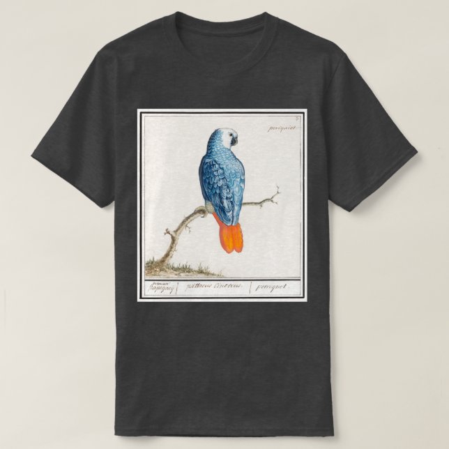 Camiseta Parroquia psittacus erithacus 15961610 (Diseño del anverso)