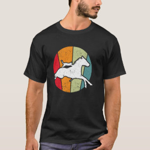 Camiseta Paseo a Caballo Gato Monta Caballos Gatos Divertid
