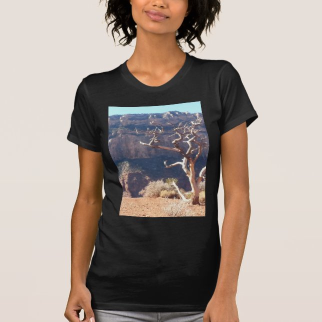 Camiseta Paseo del sur de la mula del parque nacional del (Anverso)