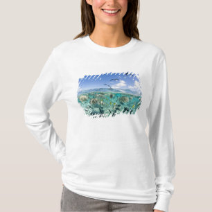 Camiseta Paseo por la laguna con Stingrays