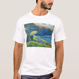 Camiseta Paso Cornualles de Helford