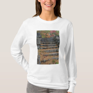 Camiseta Pasos cubiertos de agujas de pino, White Mountain