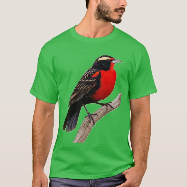 Camiseta Pássaro peito-vermelho-grande (Sturnella defilipp) (Anverso)