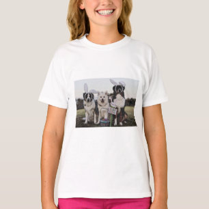 Camiseta Pastor australiano, Aussie, Shepherd