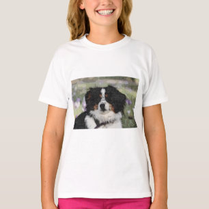 Camiseta Pastor australiano, Mascota, perro