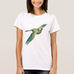 Camiseta Patagón Conure