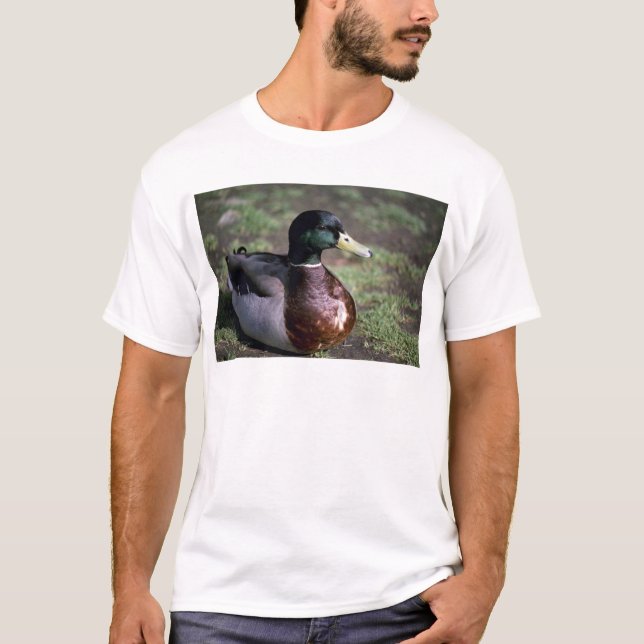 Camiseta Pato (Anverso)