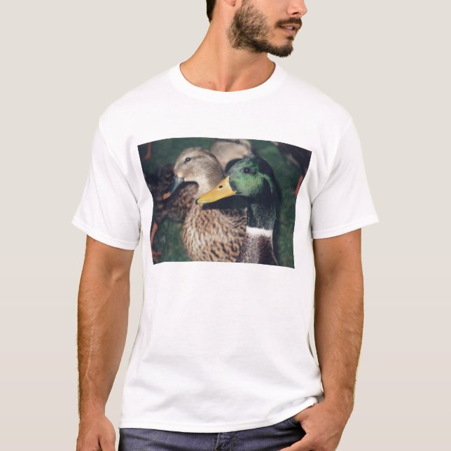 Camiseta patos (Anverso)