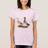 Patos: Harlequin de plata Galés